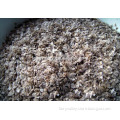 High Quality paulownia seed 9501 seed For paulownia Plants/Paulownia elongata seeds/paulownia kawakamii